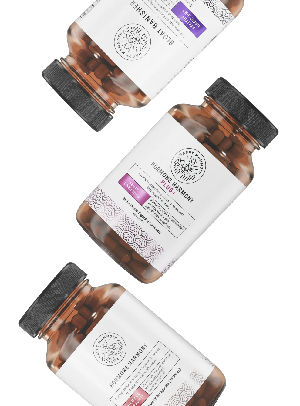 Top 5 Reasons to Choose American Home Shield for Your Home Protection